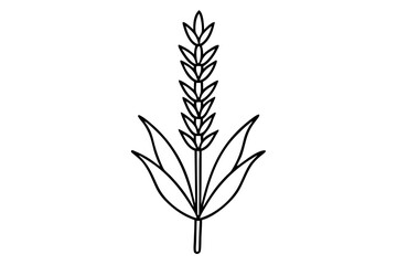 lavender silhouette line art vector illustration with a white background