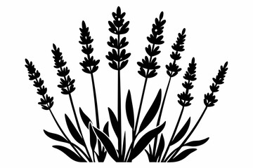 lavender silhouette line art vector illustration with a white background