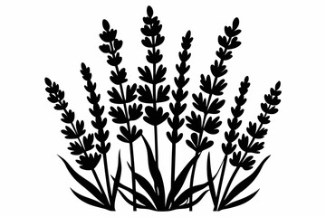 lavender silhouette line art vector illustration with a white background