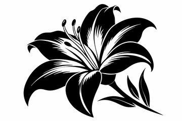 lily silhouette line art vector illustration with a white background