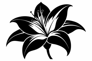 lily silhouette line art vector illustration with a white background