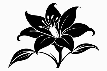 lily silhouette line art vector illustration with a white background