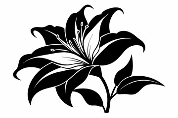 lily silhouette line art vector illustration with a white background