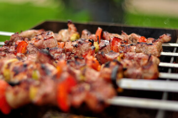 Grilled Meat Skewers with Colorful Vegetables Tantalizing Cookout