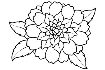marigold silhouette line art vector illustration with a white background