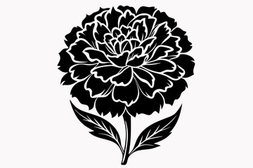 marigold silhouette line art vector illustration with a white background