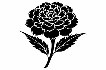 marigold silhouette line art vector illustration with a white background