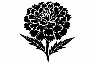 marigold silhouette line art vector illustration with a white background