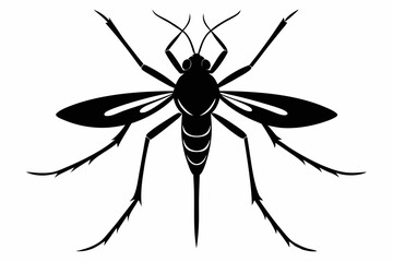 mosquito silhouette line art vector illustration with a white background