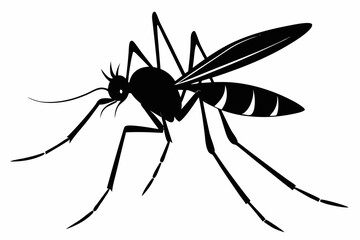 mosquito silhouette line art vector illustration with a white background