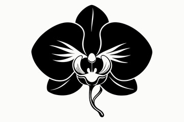 orchid silhouette line art vector illustration with a white background