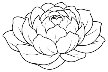 peony silhouette line art vector illustration with a white background