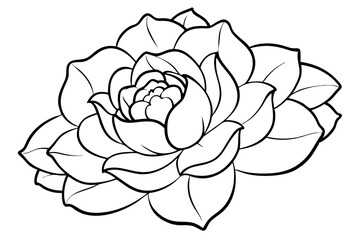 peony silhouette line art vector illustration with a white background