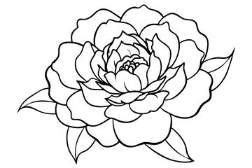 peony silhouette line art vector illustration with a white background © pipp99