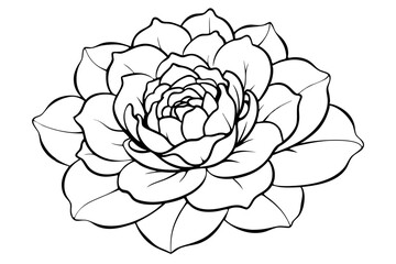 peony silhouette line art vector illustration with a white background