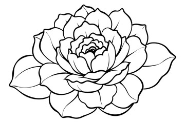 peony silhouette line art vector illustration with a white background