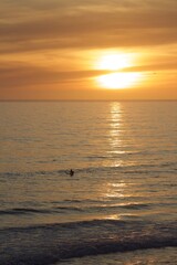 Surfer silhouette in pacific ocean during gorgeous beautiful pink orange yellow sunset golden hour in pacific beach san diego california