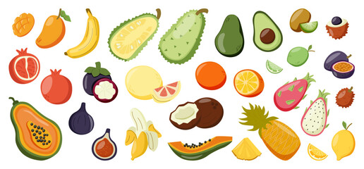 Collection of Summer Tropical Exotic Fruits.