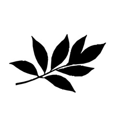 Black silhouette of leaf