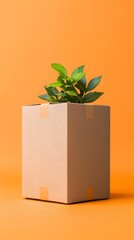 Beige Square Box with Green Plant on Orange Background