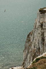 White Cliffs of English coastline facing the Strait of Dover and France, chalk accented by streaks of black flint, deposited during the Late Cretaceous