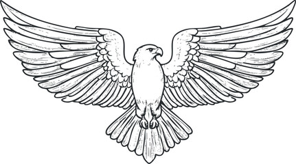 Naklejka premium Detailed black and white line drawing of an eagle with wings fully spread in flight