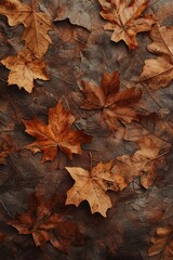 Texture details of flat-layed leaves