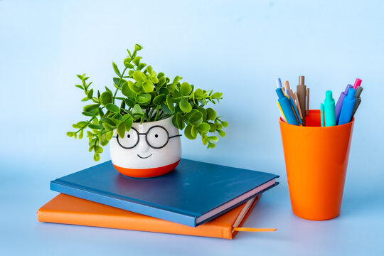 Creative school setup with a smiling plant pot on colorful notebooks and vibrant pens in an orange holder showcasing cheerful learning workspace with back to school mood and positive atmosphere