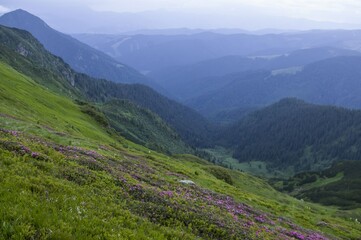 Fototapeta premium Mountains
