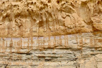 Cool Sedimentary Rock formations cliffs at Torrey Pines State Reserve San Diego California