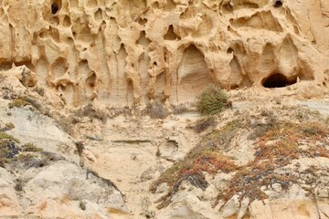 Cool Sedimentary Rock formations cliffs at Torrey Pines State Reserve San Diego California