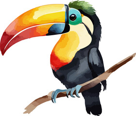 Hand drawn watercolor painting of Toucan Bird Sitting on Branch isolated on transparent background. Arctic animal illustration drawing by hand