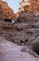 Shops and stalls line the trail to Ad Deir or the Monastery from Petra