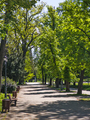 Landscape of Borisova gradina in city of Sofia, Bulgaria