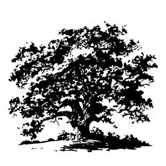 Silhouette of a Majestic Tree – Vector Illustration