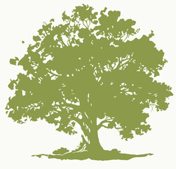 Green Silhouette of a Tree – Vector Illustration on Light Background