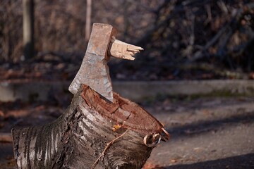Broken axe stuck in a log