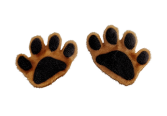 Dog paws