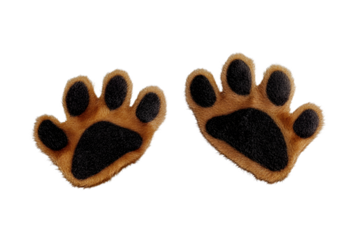 Dog paws