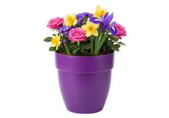 Colorful flower arrangement in purple pot isolated on transparent background