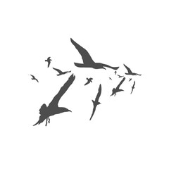 silhouette of a flock of birds flying together without a background