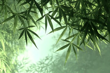 Obraz premium The lush green bamboo forest nourished by spring rain