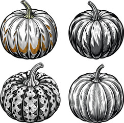 Assorted hand-drawn pumpkins for fall harvest