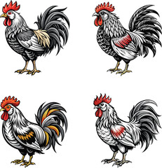 Four Detailed Illustrations of Roosters