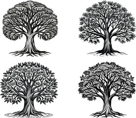 Detailed Black and White Tree Illustrations