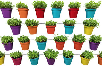 Many colorful pots with plants isolated on transparent background