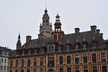 Fototapeta premium Lille, france, tourisme. 