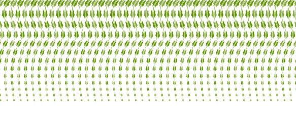 Vector of  green leaves of the Javanese treebine, also known as Grape Ivy  cascade elegantly as a jungle vine, with its hanging ivy like tendrils adding lush greenery to any environment, perfectly