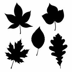 set of autumn leaves