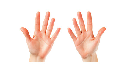 Fototapeta premium Two Open Palms Showing Five Fingers Each, Isolated on White Background
